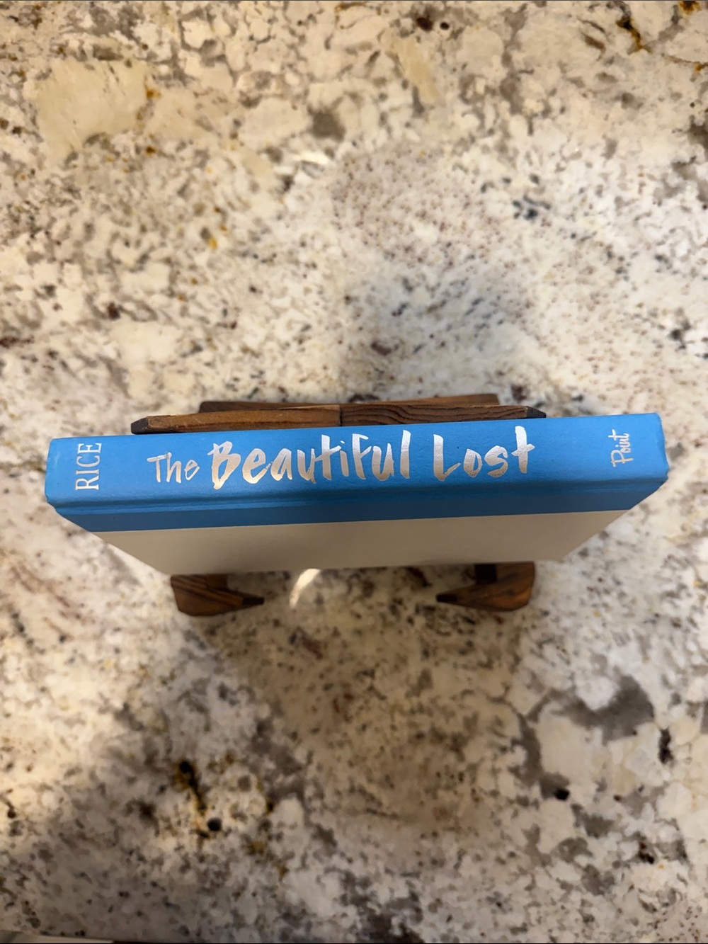 The Beautiful Lost Blue Decorative Book Accent